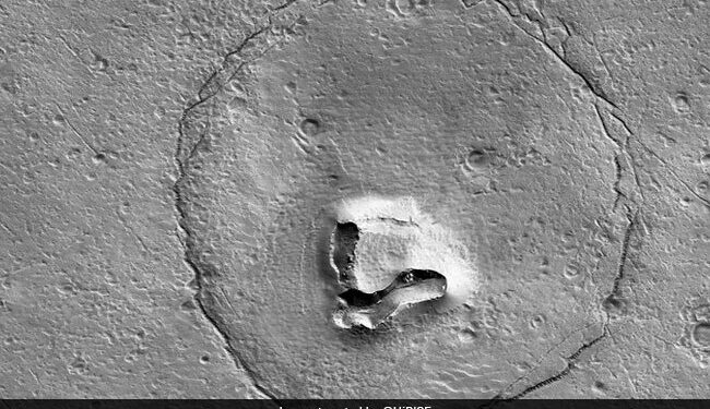 Bears Face Seen On Mars, Surprised People Said- NASA Is Hiding A Lot From Us NDTV Hindi NDTV India – मंगल ग्रह पर दिखा भालू का चेहरा, हैरान होकर लोगों ने कहा