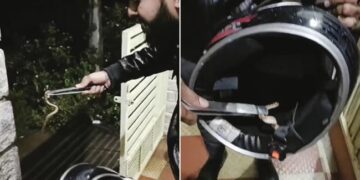 Snake Was Hidden Inside The Helmet Person Started Wearing It Then What Happened Next See Hair Raising Video
