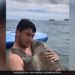 Man Swimming In The Sea Gets An Unexpected Hug From A Seal Video Is Viral