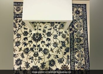A Phone Is Hidden In This Carpet, It Is Difficult To Find It, It Will Not Be Able To Find It Even In 2 Minutes