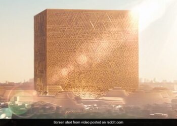 Saudi Arabia Is Building A Dream City, There Will Be No Cars, No Roads, It Is Also Special For India, Watch Video Ndtv Hindi Ndtv India