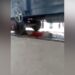 Video: Woman Injured After Train Passes Over Her In Bihar, Train Passed Over Female Teacher, Did Not Even Scratch