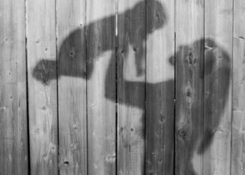 Woman Being Taken To Hospital In An Ambulance Gives Birth To Triplets In Madhya Pradesh Ndtv Hindi Ndtv India