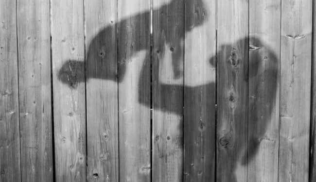 Woman Being Taken To Hospital In An Ambulance Gives Birth To Triplets In Madhya Pradesh Ndtv Hindi Ndtv India