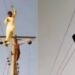 Some Rural Children Are Seen Playing By Climbing On Electric Poles And Wires In Pakistan Video Goes Viral On Social Media, Pakistan Economic Crisis 2023 Update