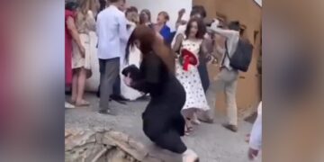 Aunty Fell Into The Drain While Making A Wedding Video, People Said – Abdullah Crazy About A Foreign Marriage Ndtv Hindi Ndtv India – शादी का वीडियो बनाने के चक्कर में नाले में गिरी आंटी, लोग बोले