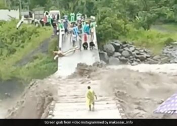 Viral Video: Viral Video Of A Person Crossing The Swollen River, Panic Prevailed Among The Viewers Ndtv India Ndtv Hindi