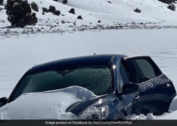 WATCH: 81 Year Old US Man Stuck In Snowbank Survives Nearly A Week By Eating Croissants And Candy