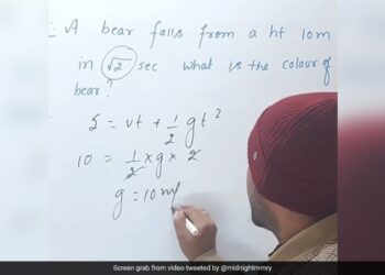 Watch: Physics Teacher Uses Equation To Find Colour Of Falling Bear, Teachers Unique Style Goes Viral