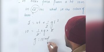 Watch: Physics Teacher Uses Equation To Find Colour Of Falling Bear, Teachers Unique Style Goes Viral