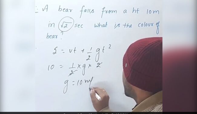 Watch: Physics Teacher Uses Equation To Find Colour Of Falling Bear, Teachers Unique Style Goes Viral