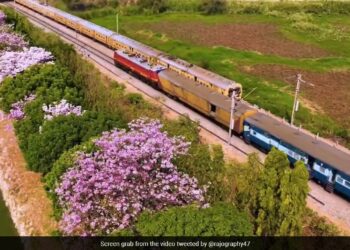 Amazing Aerial View Of Bengaluru City Decked Up With Pink Flowers See Video