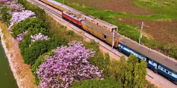 Amazing Aerial View Of Bengaluru City Decked Up With Pink Flowers See Video