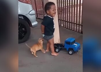 Viral Video: Cute Puppy Was Teasing The Children, The Little Devil Did It Like This Watch Viral Video
