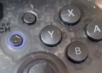 Shocking Video: Video Of Crawling Insects On Remote Controller Viral Video