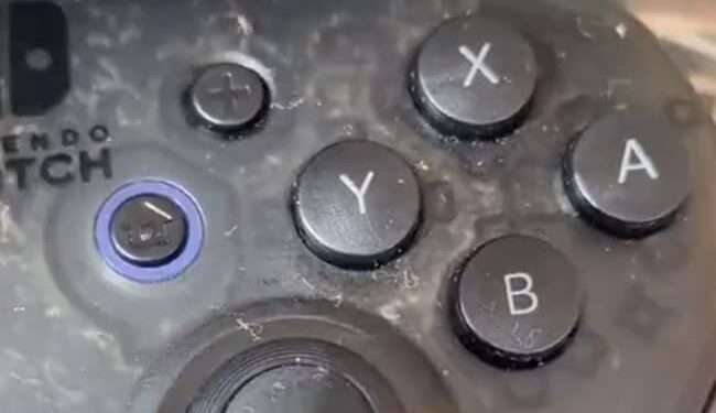 Shocking Video: Video Of Crawling Insects On Remote Controller Viral Video