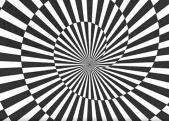 Can You Spot The Hidden Tiger In The Picture: Spot The Hidden Tiger In The Picture Within 8 Seconds | Spot The Object In Picture | Viral Optical Illusion Picture, Puzzle, Game