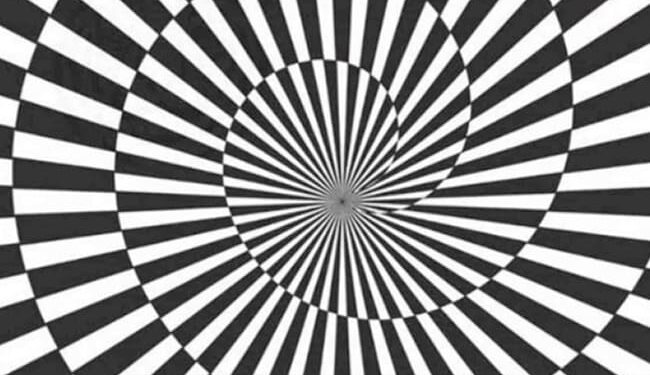 Can You Spot The Hidden Tiger In The Picture: Spot The Hidden Tiger In The Picture Within 8 Seconds | Spot The Object In Picture | Viral Optical Illusion Picture, Puzzle, Game