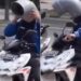 Amazing Indian Desi Jugaad Video: Man Wore A Helmet Policeman Was Surprise To See The Jugad Technology
