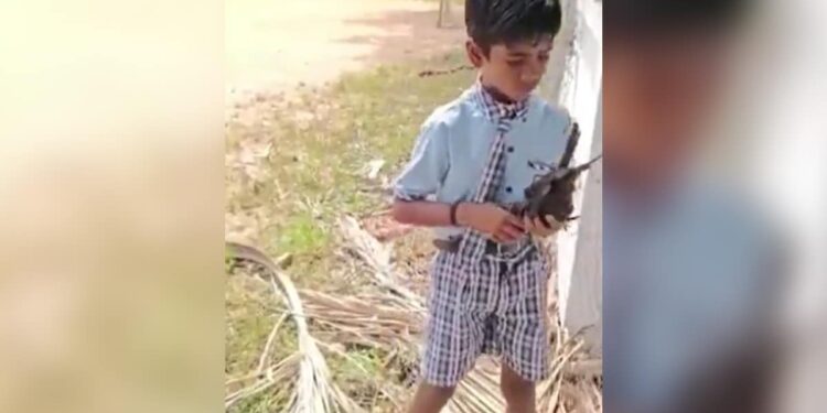 जाल में बुरी तरह फंसे कौए को सुरक्षित निकालकर बच्चे ने सिखा दी इंसानियत की सीख. देखें वीडियो