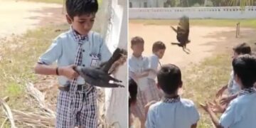 School Boy Rescues A Crow Stuck In A Net Is A Great Lesson In Kindness See Viral Video