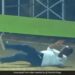 Watch: Fielder Fails To Stop Ball On Cricket Ground, Internet In Splits | Cricket Funny Fielding Video Goes Viral On Social Media