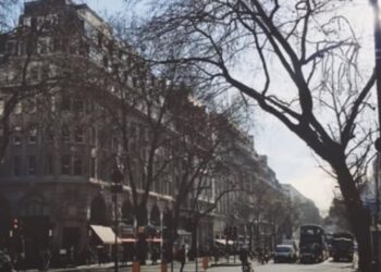 Where Is The Dog Hidden In The Picture, Very Few People Have Been Able To Find It, Find It Within 3 Minutes And Tell