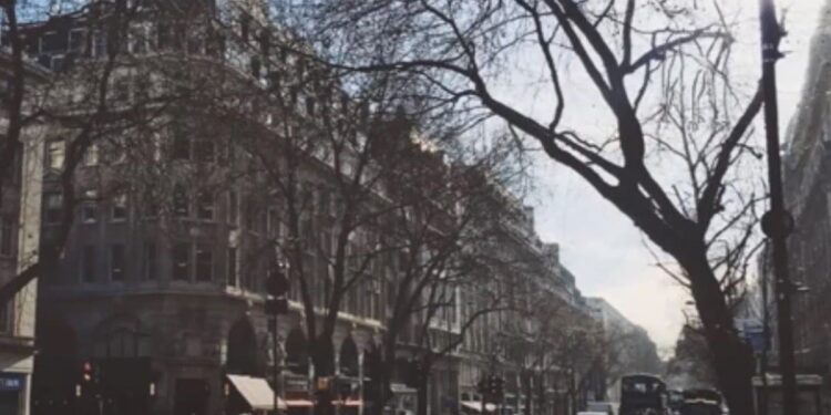 Where Is The Dog Hidden In The Picture, Very Few People Have Been Able To Find It, Find It Within 3 Minutes And Tell