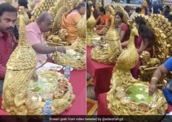 Guests Sat On The Throne And Ate Food In A Royal Style Like Kings And Emperors At The Wedding Internet Stunned See Viral Video