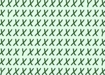 Optical Illusion IQ Test: Only The Sharpest Minds Can Find The Hidden Letter Y In This Optical Illusion In 10 Seconds, There Is A Different Letter Hidden, Optical Illusion Image, Can You Find