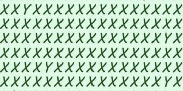 Optical Illusion IQ Test: Only The Sharpest Minds Can Find The Hidden Letter Y In This Optical Illusion In 10 Seconds, There Is A Different Letter Hidden, Optical Illusion Image, Can You Find