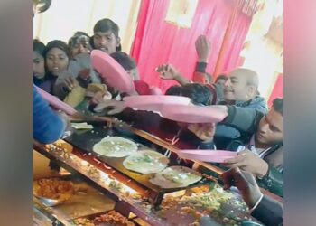 Street Foods In India: Wedding Food Stall Funny Videos, Viral Video In Marriage Party Dosa Stall User got Crazy