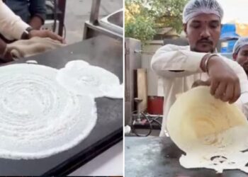 Street Vendor Cat Shaped Dosa: Street Vendor Creating Art With Dosa, Dosa Recipe, How To Make Dosa Batter, Street Vendor Makes Dosa In The Form Of A Cat