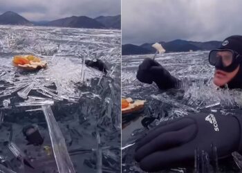Viral Video Of Swimmers Eating Fruits In Frozen Lake | Frozen Lake Viral Video | Baikal Frozen Lake Video