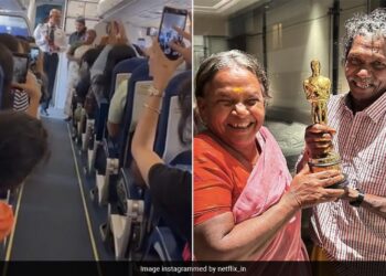 Oscar Fever: Pilot Gives A Big Shoutout To Elephant Whisperers Bomman And Bellie On Board An IndiGo Flight To Ooty