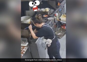 Woman Dropped Her Mobile In The Fryer While Cooking Then What Happened Next Will Make You Laugh In Viral Video