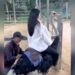 Girl Riding Ostrich, Common Ostrich, Ostrich Big Eyes, Ostrich Viral Video, Ostrich Video, Can You Ride On An Ostrich