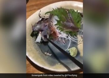 Fish Served At Restaurant Comes Alive When Customer Went To Eat Fish Jumped And Bites Chopstick In Japan Viral Video