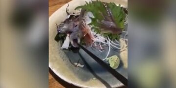 Fish Served At Restaurant Comes Alive When Customer Went To Eat Fish Jumped And Bites Chopstick In Japan Viral Video