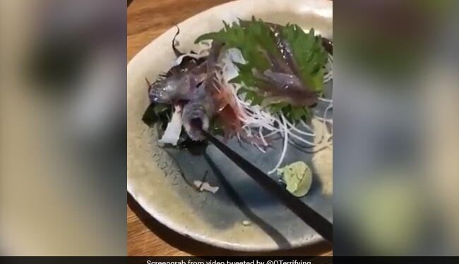Fish Served At Restaurant Comes Alive When Customer Went To Eat Fish Jumped And Bites Chopstick In Japan Viral Video