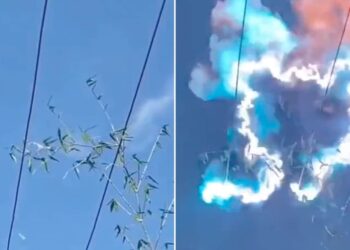 Trending Viral Video: Tree Caught Fire Due To Current Got Burnt In Smoke Know Why This Happens, Ped Me Kyo Utrata Current