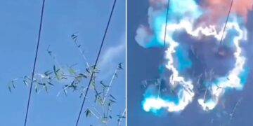 Trending Viral Video: Tree Caught Fire Due To Current Got Burnt In Smoke Know Why This Happens, Ped Me Kyo Utrata Current