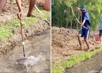 Bow Arrow Fishing Video: Man Being Seen Hunting Fish With Archery | Boy Catch Fish With Bow And Arrow | Teer Dhanush Se Machhli Pakadta Ladka