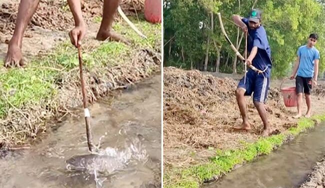 Bow Arrow Fishing Video: Man Being Seen Hunting Fish With Archery | Boy Catch Fish With Bow And Arrow | Teer Dhanush Se Machhli Pakadta Ladka