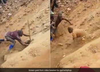 9 Laborers Were Trapped In The Gold Mine, Colleagues Saved Their Lives By Digging With Their Hands, Users Are Saying Great!