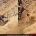 9 Laborers Were Trapped In The Gold Mine, Colleagues Saved Their Lives By Digging With Their Hands, Users Are Saying Great!