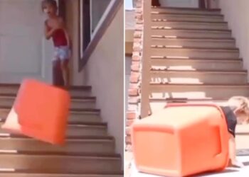 Two Kids Playing Dangerous Game In Shocking Viral Video: Kid Locked The Younger Brother In A Basket And Threw Him Down The Stairs, Bachho Ka Viral Video, Kids Viral Video