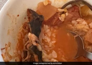 रेस्तरां में खाने गई महिला को सूप में मिला मरा चूहा, तस्वीरें देख खराब हो जाएगा दिमाग