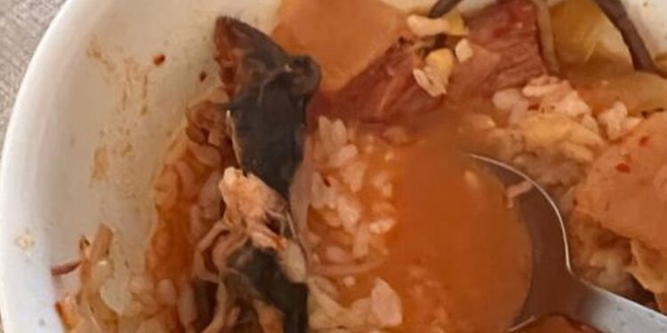 रेस्तरां में खाने गई महिला को सूप में मिला मरा चूहा, तस्वीरें देख खराब हो जाएगा दिमाग