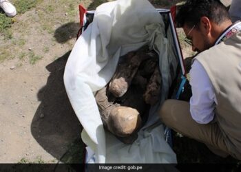Delivery Boy Found Carrying 800 Year Old Mummy In A Delivery Bag In Peru Says It Is My Spiritual Girlfriend – बैग में 800 साल पुरानी ममी लेकर घूम रहा था डिलीवरी बॉय, पकड़े जाने पर बोला